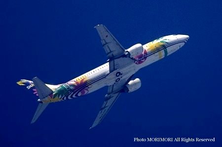 スカイネットアジア航空機 スカイネットアジア航空機
