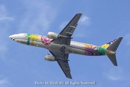 スカイネットアジア航空 機体 01 スカイネットアジア航空 機体 01
