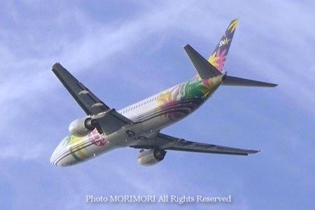 スカイネットアジア航空 機体 02 スカイネットアジア航空 機体 02