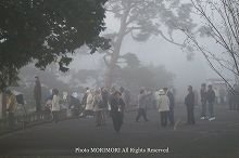 高千穂の雲海 03 高千穂の雲海 03