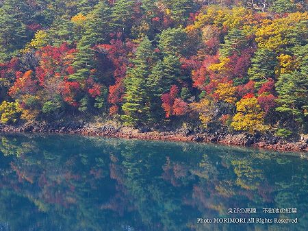えびの高原(不動池)の紅葉 えびの高原(不動池)の紅葉