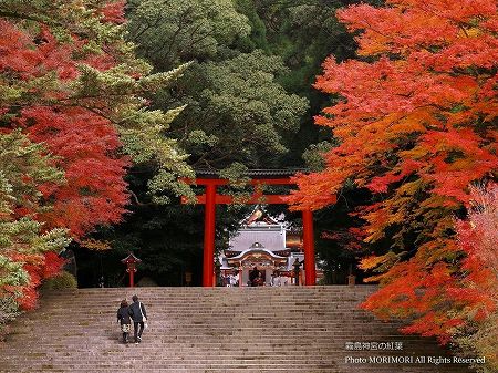 霧島神宮の紅葉 霧島神宮の紅葉