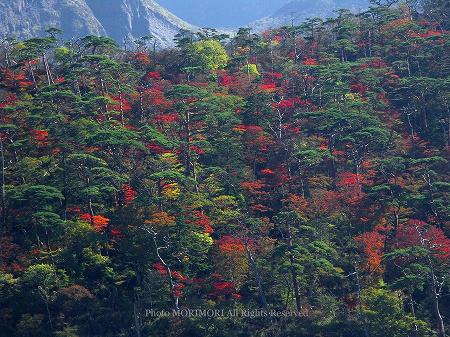 えびの高原 六観音御池の紅葉 02 えびの高原 六観音御池の紅葉 02
