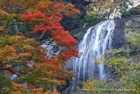 五ヶ瀬町 白滝の紅葉 02 五ヶ瀬町 白滝の紅葉 02
