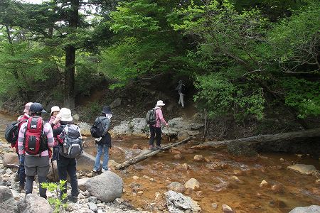 新湯温泉から新燃岳への登山道 新湯温泉から新燃岳への登山道