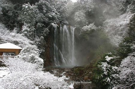 雪の中の丸尾の滝 雪の中の丸尾の滝