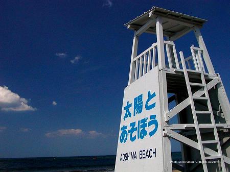 太陽とあそぼう 青島海水浴場 太陽とあそぼう 青島海水浴場