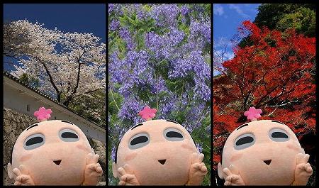 にちんあんぢゃ様 待ち受け画面 にちんあんぢゃ様 待ち受け画面