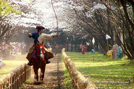 宮崎神宮流鏑馬 宮崎神宮流鏑馬