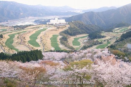 ホテル北郷フェニックス・ゴルフ場