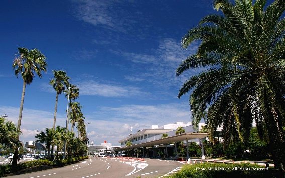 宮崎ブーゲンビリア空港 宮崎ブーゲンビリア空港
