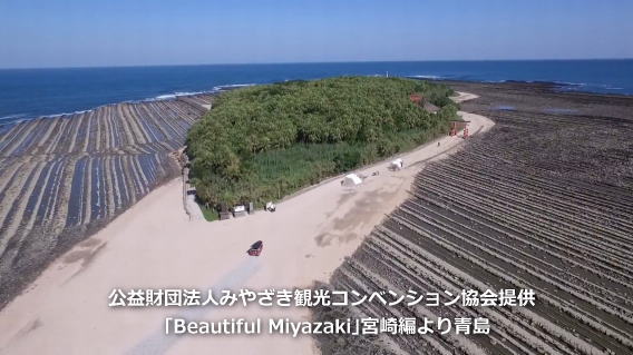 Beautiful Miyazaki