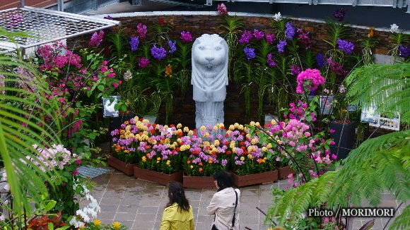 青島亜熱帯植物園 大温室