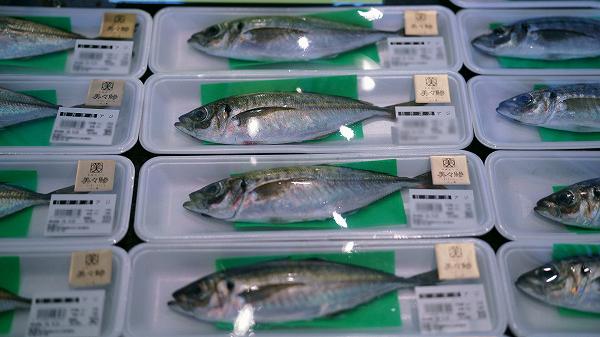 めいつ美々鯵 三ツ星 めいつ美々鯵 三ツ星
