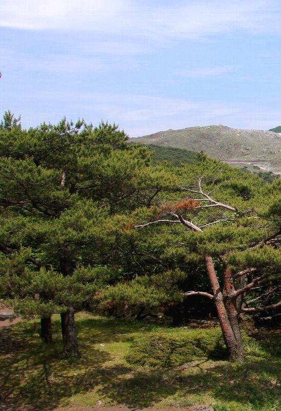 えびの展望台より撮影した韓国岳などの眺望写真 1-4