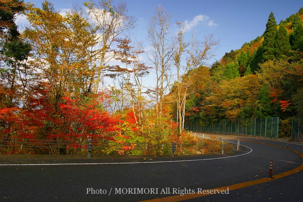 紅葉の写真壁紙 えびの高原