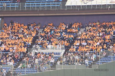 ■ 今回の橙魂シートは３塁側内野席の一部GIANTS vs DeNA 2014年　サンマリンスタジアム宮崎　140422sms22.jpg