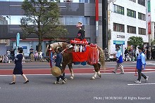 平成19年　宮崎神宮大祭（神武さま）の写真　シャンシャン馬　　03