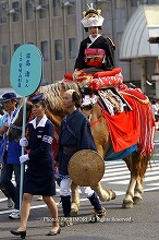 平成19年 宮崎神宮大祭(神武さま)の写真 シャンシャン馬 06