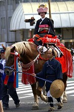 平成19年　宮崎神宮大祭（神武さま）の写真　シャンシャン馬　11