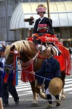 平成19年 宮崎神宮大祭(神武さま)の写真 シャンシャン馬 11