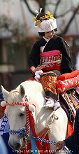 平成19年　宮崎神宮大祭（神武さま）の写真　シャンシャン馬　12