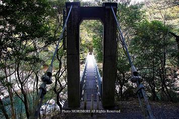 綾森林セラピー川中自然コース　川中吊橋