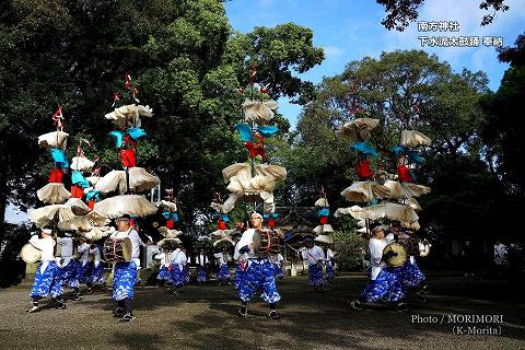 国指定天然記念物 上穂北のクス