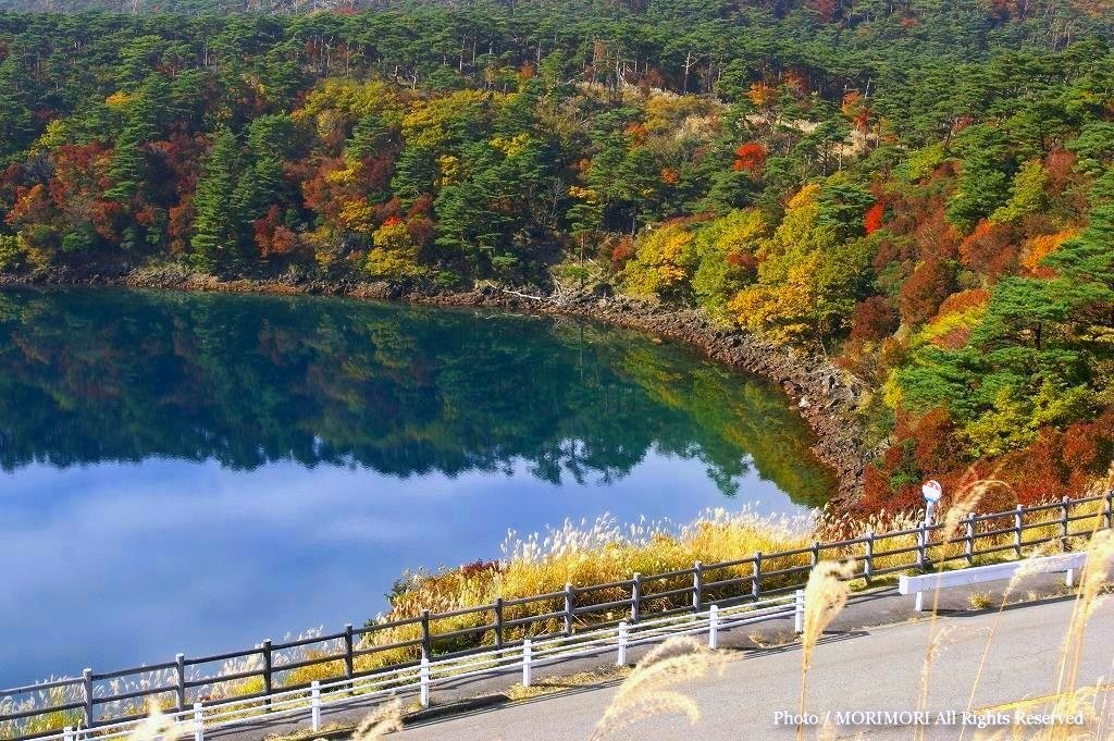 霧島の紅葉