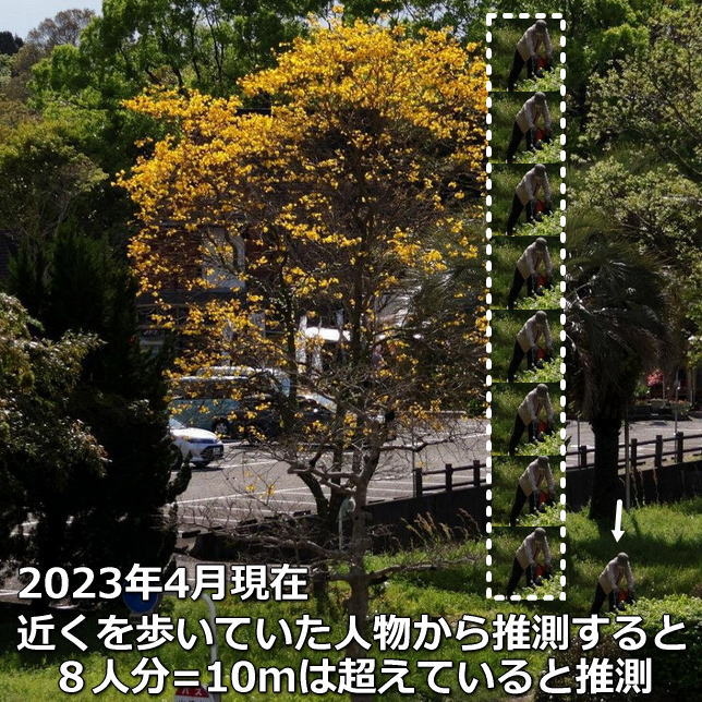 RoXO Cy[@2023N@@10mz
