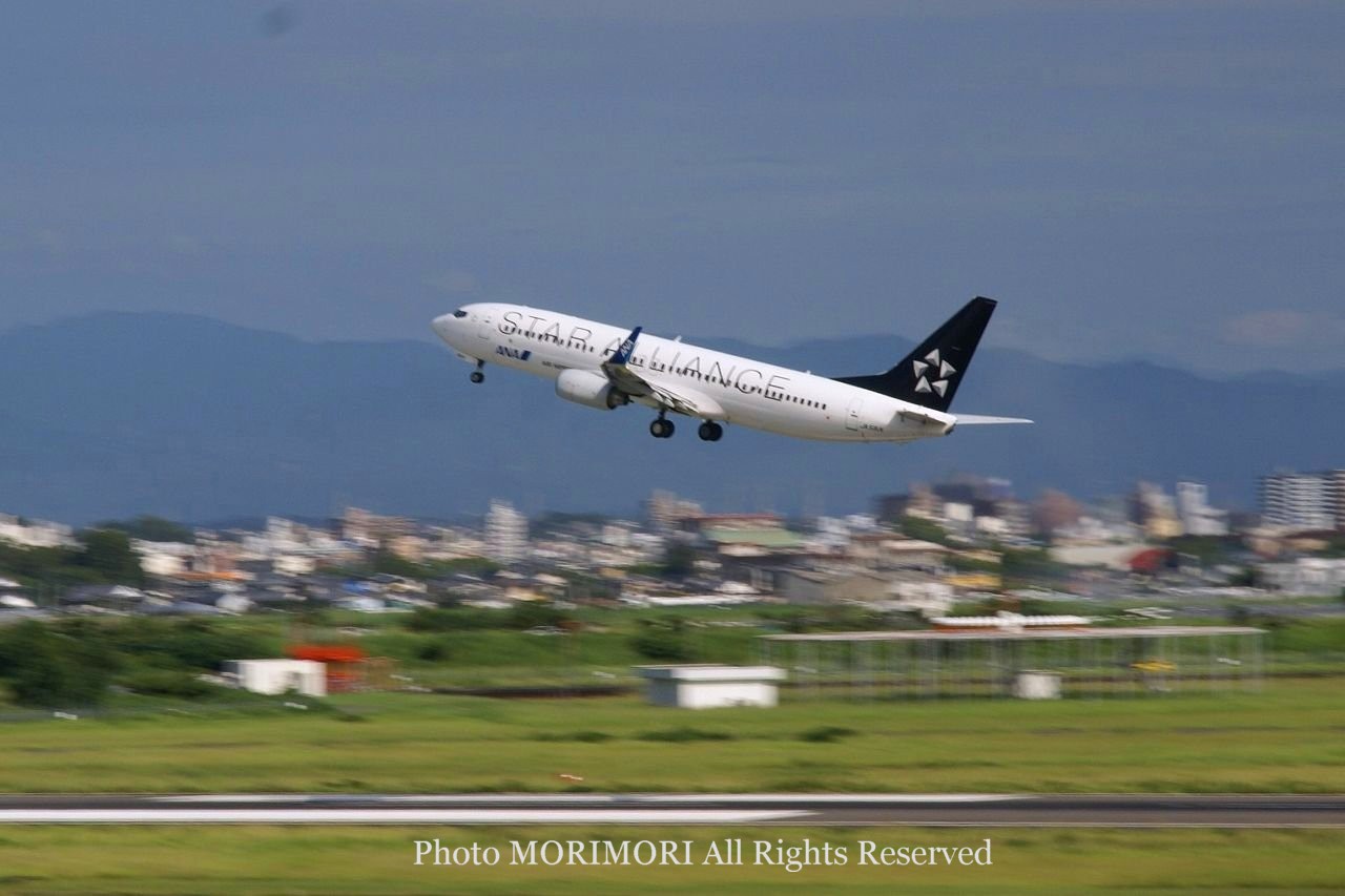 スターアライアンス特別塗装機の写真｜B737-800 JA51AN STAR