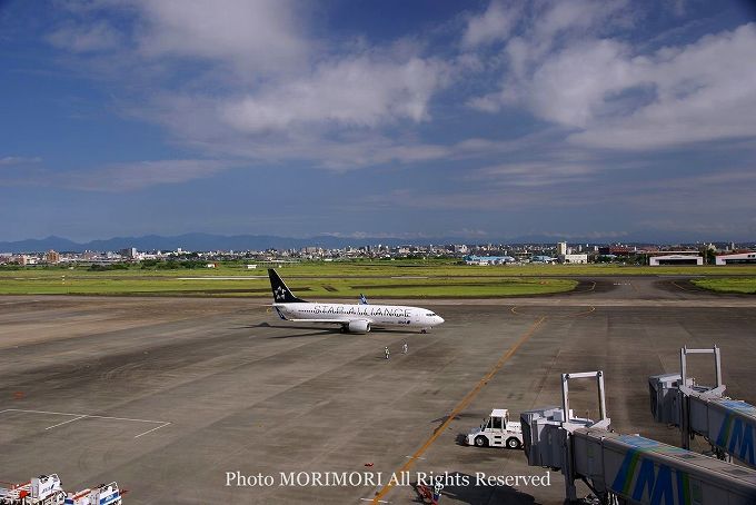 ANA Air Nippon Star Alliance737 800 JA51AN@03