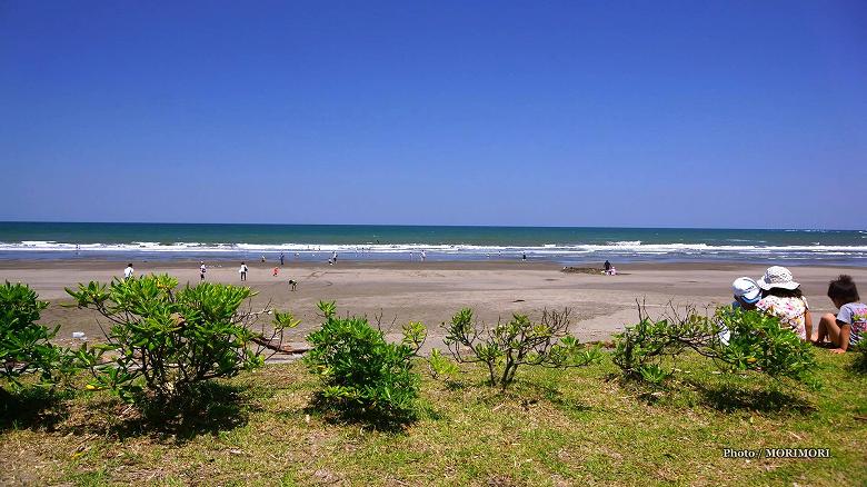 青島海岸 青島海岸