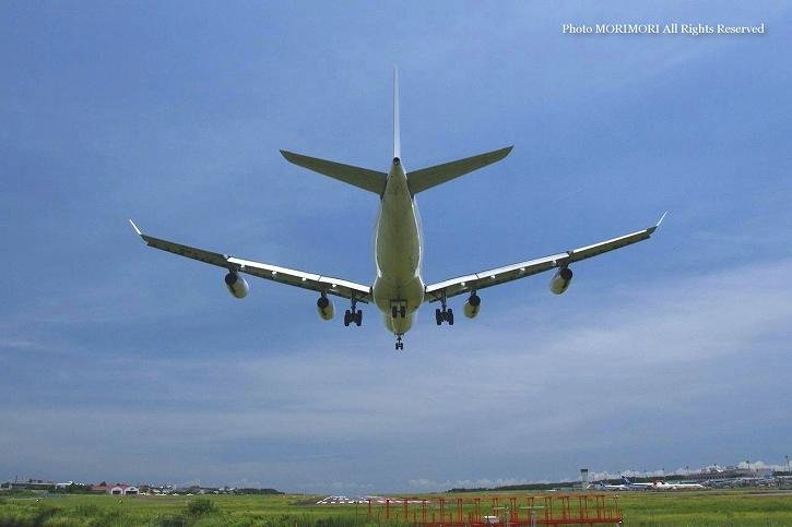 {`@HiFly(nCtCq) Airbus A340@ OY-KBM@01