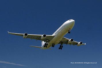 HiFly(nCtCq) A340-313X OY-KBM @{`ɂā@04