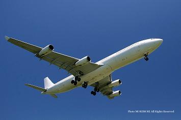 HiFly(nCtCq) A340-313X OY-KBM @{`ɂā@05