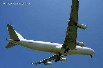 HiFly(ハイフライ航空) A340-313X OY-KBM 　宮崎空港にて　06
