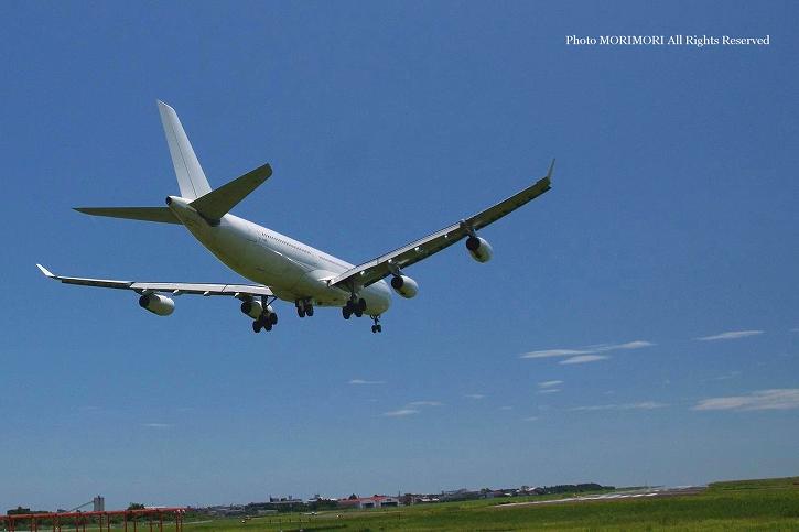 HiFly(nCtCq) A340-313X OY-KBM @{`ɂā@07