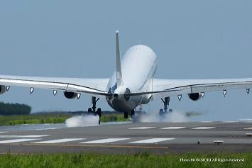 HiFly(nCtCq) A340-313X OY-KBM @{`ɂā@08