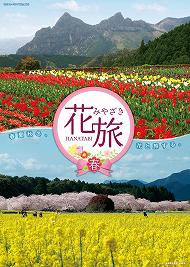 日之影町 中川チューリップ / 西都市 西都原古墳群 菜の花と桜 日之影町 中川チューリップ / 西都市 西都原古墳群 菜の花と桜