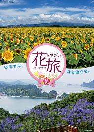 高鍋町 染ヶ岡のヒマワリ / 日南市南郷町 ジャカランダ 高鍋町 染ヶ岡のヒマワリ / 日南市南郷町 ジャカランダ