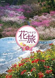宮崎市 好隣梅の梅 / 宮崎市 堀切峠のポインセチア 宮崎市 好隣梅の梅 / 宮崎市 堀切峠のポインセチア
