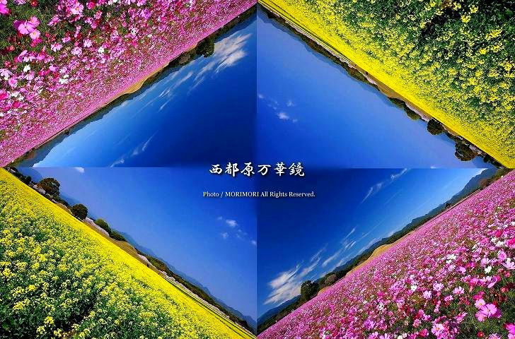 ■ 西都原万華鏡 ■ 西都原万華鏡