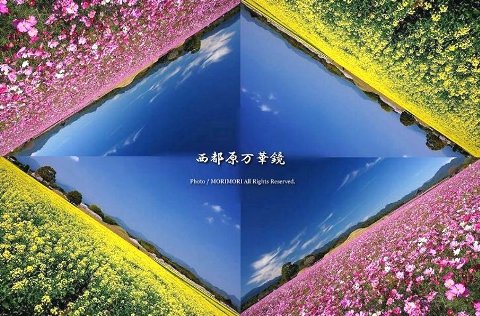 西都原 花の万華鏡