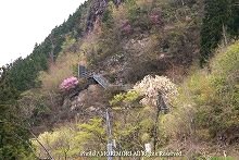 三ヶ所神社奥宮〜二上山山頂の写真　【02】