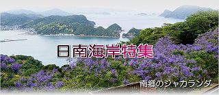日南海岸｜宮崎・日南観光
