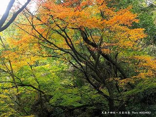 天岩戸神社～天安河原　０３