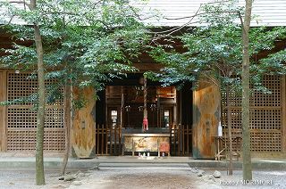 天岩戸神社 （東本宮）の写真　04