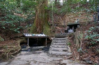天岩戸神社 （東本宮）の写真　06