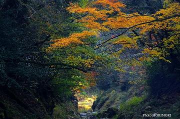 岩戸の渓流の紅葉